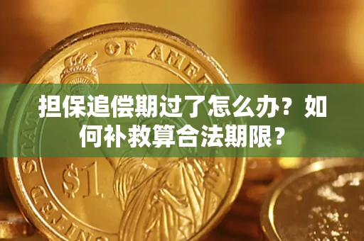 济南担保追偿期过了怎么办？如何补救算合法期限？