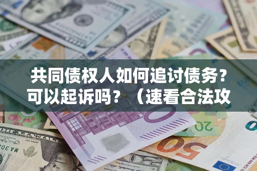 济南共同债权人如何追讨债务？可以起诉吗？（速看合法攻略）