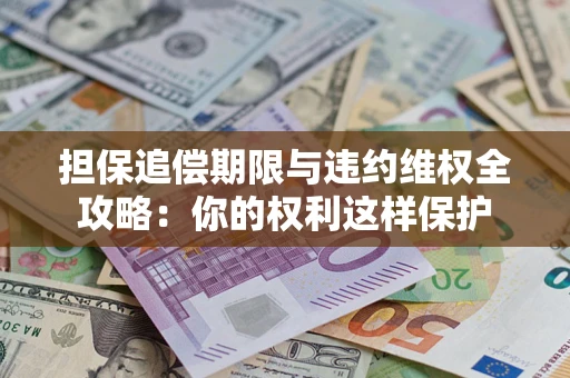 济南担保追偿期限与违约维权全攻略：你的权利这样保护